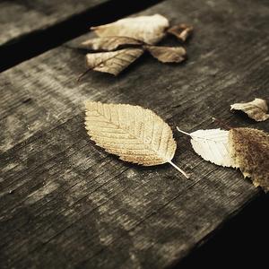 小雪好湿···好紧···太爽
